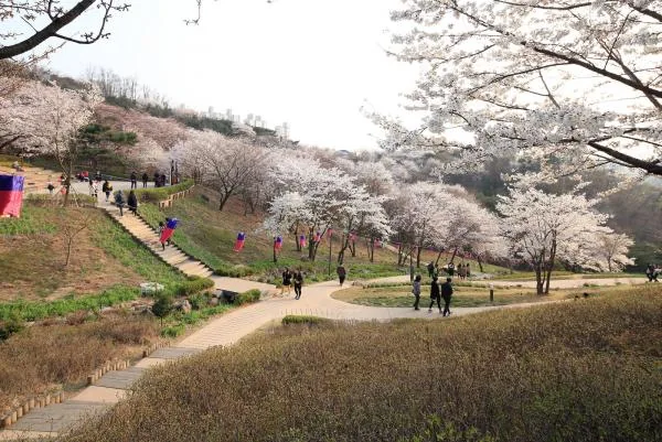 안산 봄 풍경 (자락길·초록숲길 주변) 실제 사진
