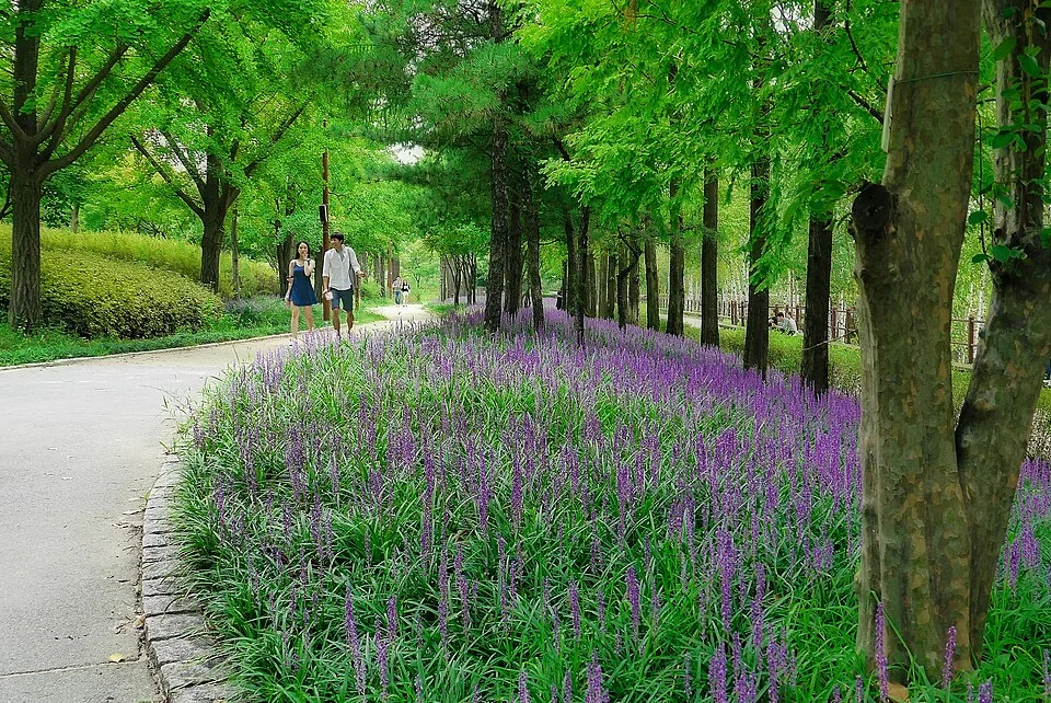 선유도공원 산책길 실제 사진