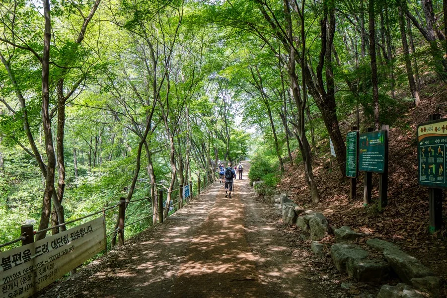 청계산 실제 사진