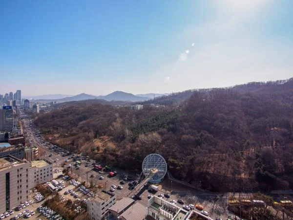 잣나무숲길 주변 · 우면산 북쪽 산자락 경관 참고사진 실제 사진