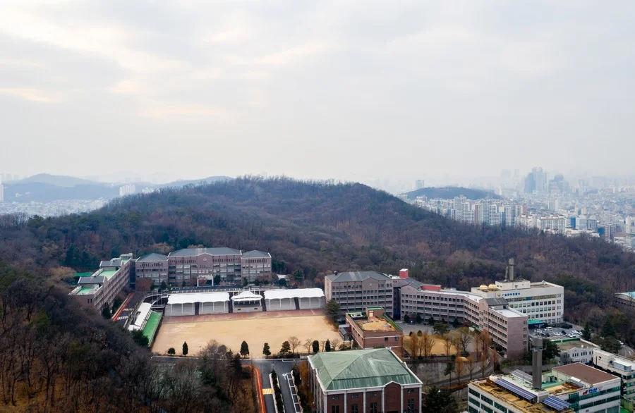 청룡산 생태숲길 주변 · 청룡산 산림 전경 참고사진 실제 사진