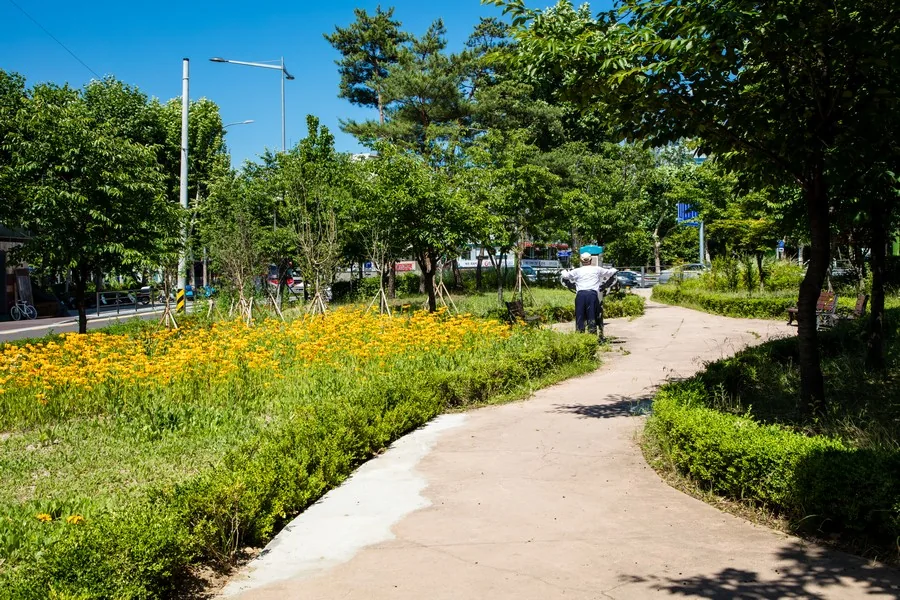 서초구 양재천 산책길 실제 사진