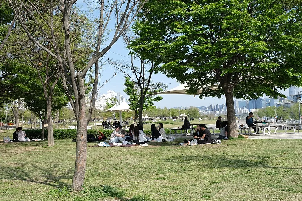 뚝섬한강공원 나무그늘 (숲속길 주변) 실제 사진