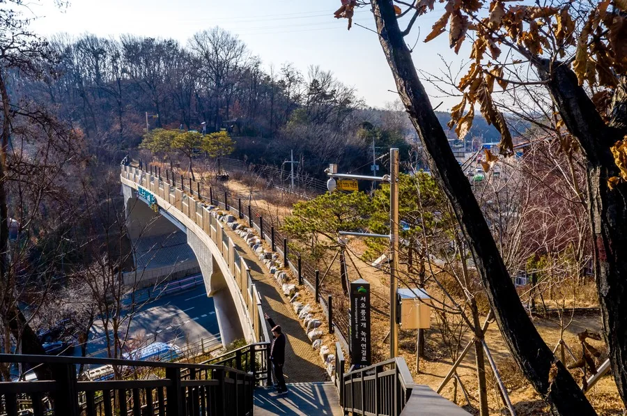 서오릉 녹지연결로 실제 사진