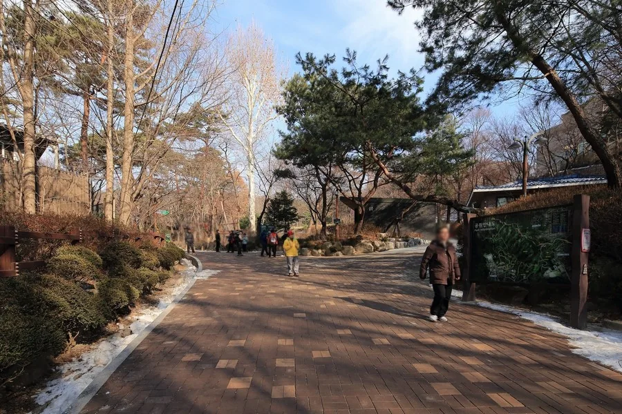 삼청공원 숲길 실제 사진