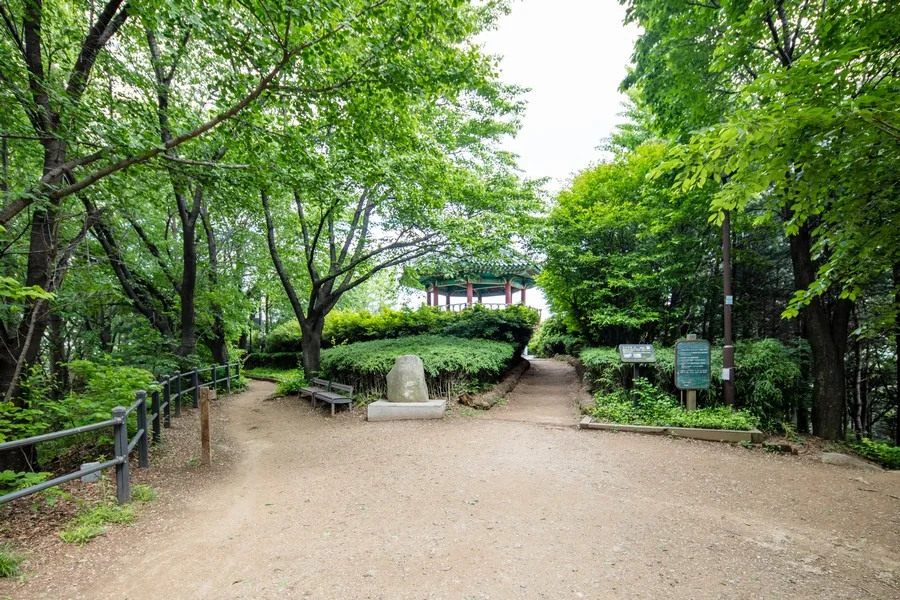 매봉산공원 숲길 실제 사진