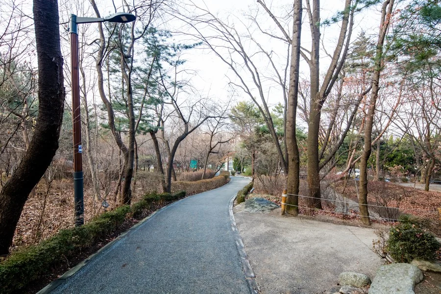 대모산 도시자연공원 숲길 (촬영 당시 겨울 모습) 실제 사진