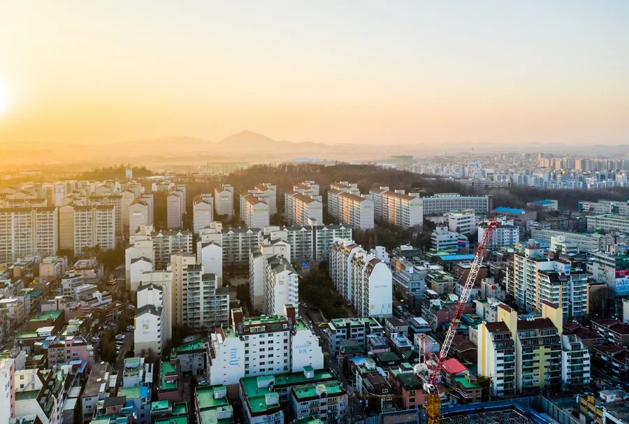수명산 숲속 탐방로 주변 · 수명산 전경 참고사진 실제 사진