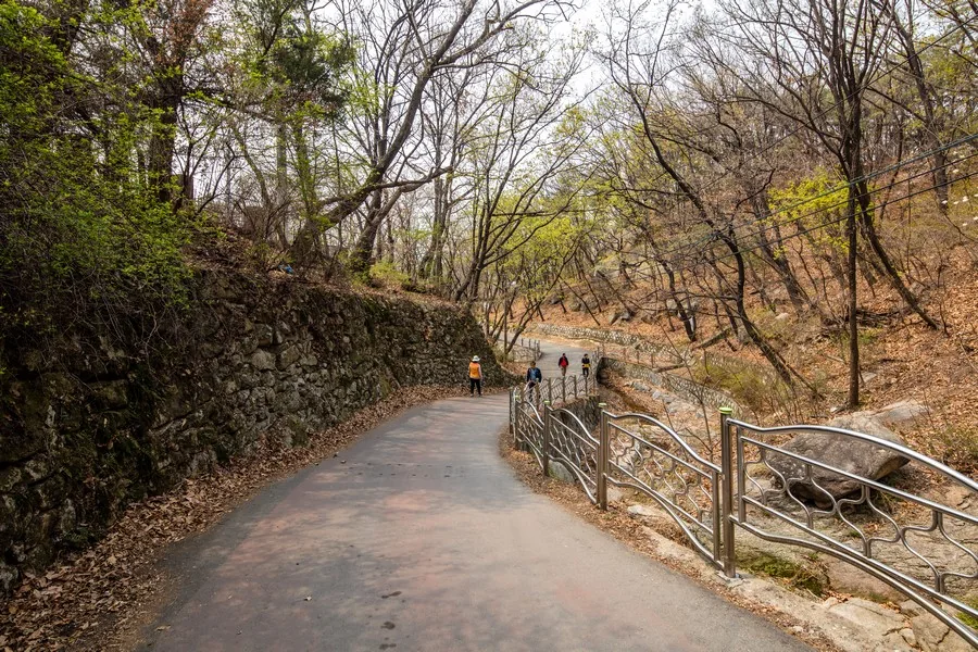 불암산 둘레길 (산책길·설화길 주변) 실제 사진