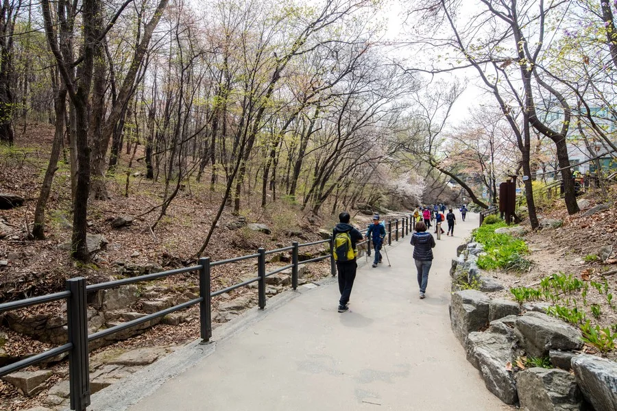수락산 만남의광장 숲길 (천상병산길 경유지 주변) 실제 사진