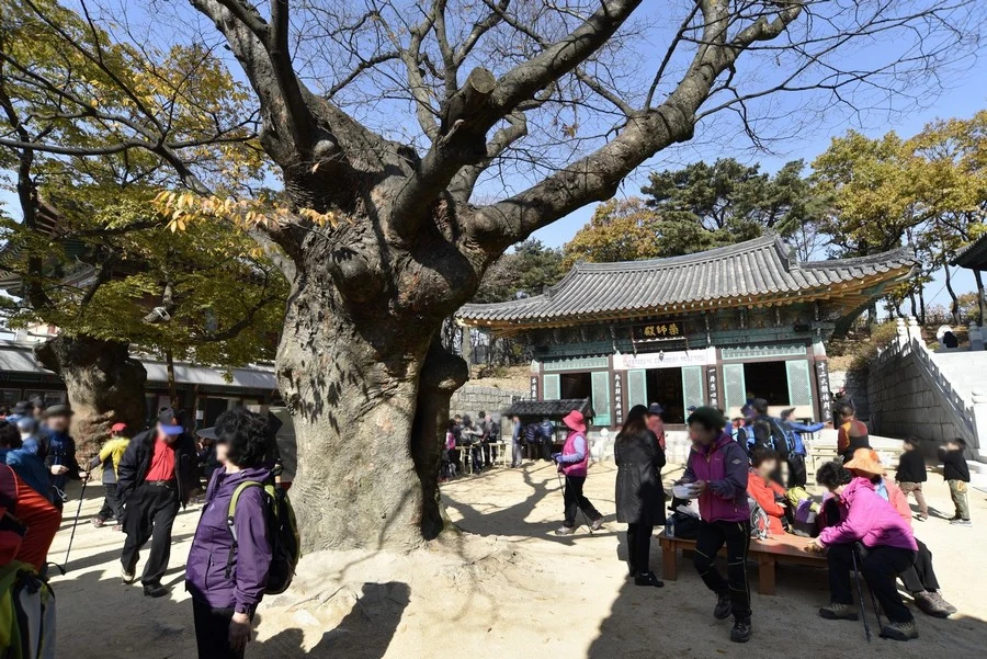 호압사 산책길 경유지 · 호압사 경내 실제 사진
