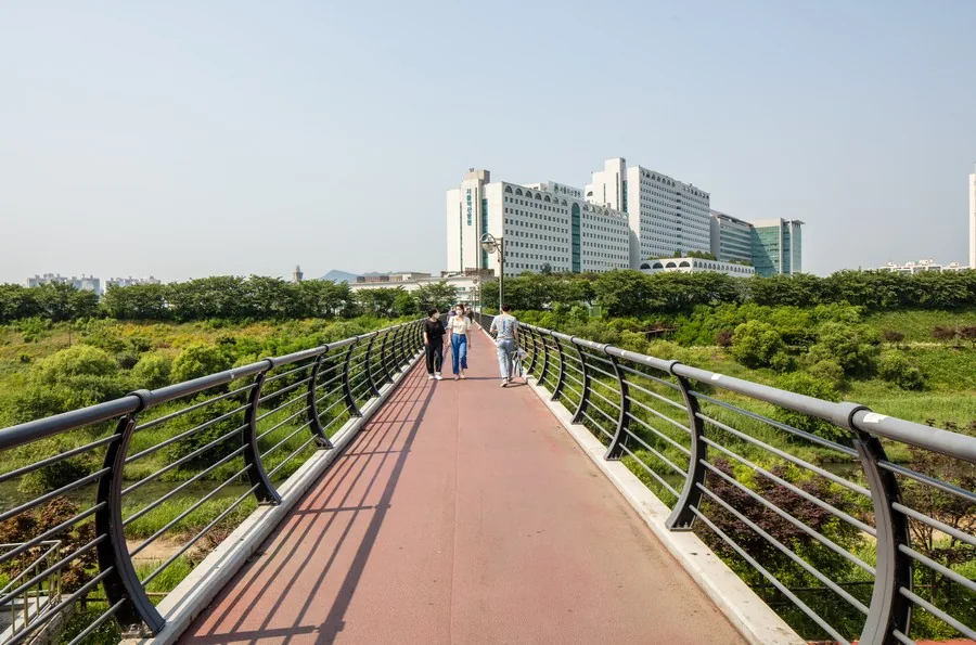 성내천 실제 사진
