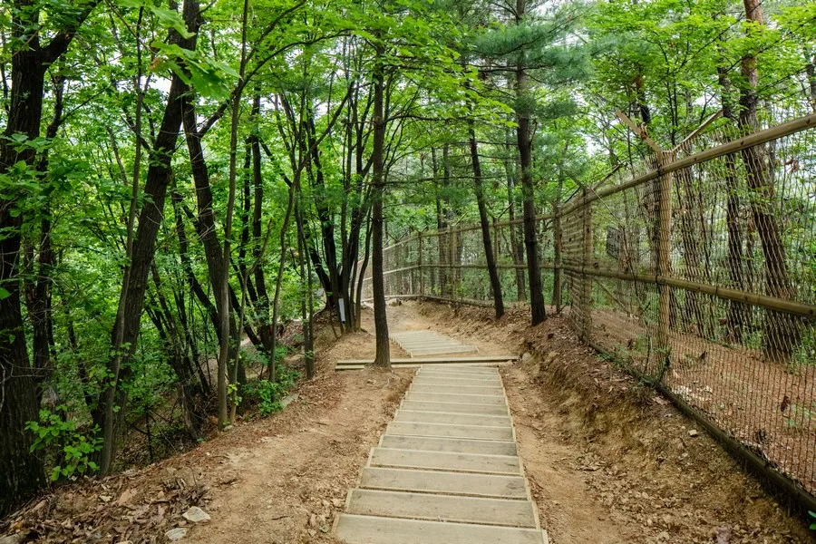 구룡산 실제 사진