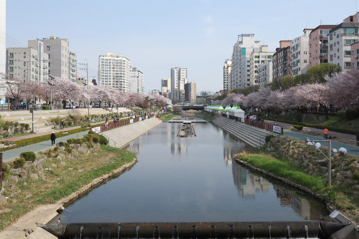 불광천 실제 사진