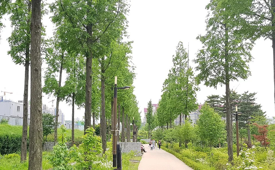 푸른수목원 산책길 실제 사진