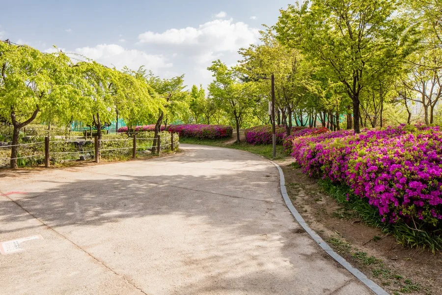 초안산근린공원 실제 사진