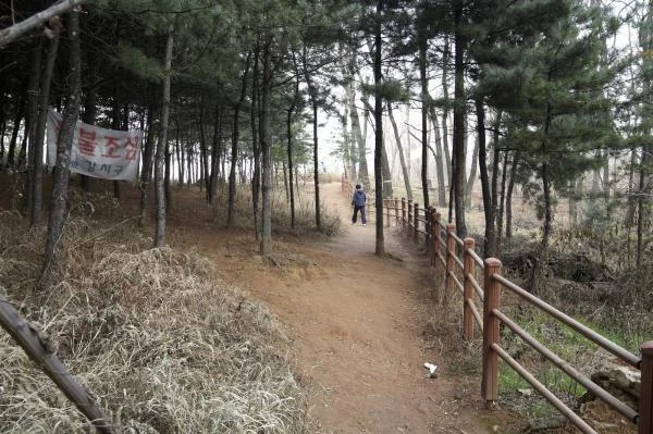 염창산 염창공원 숲길 실제 사진