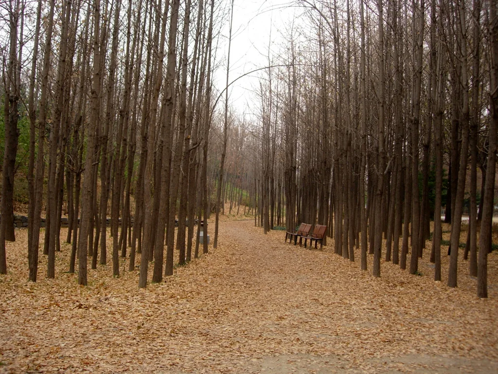 서울숲 산책길