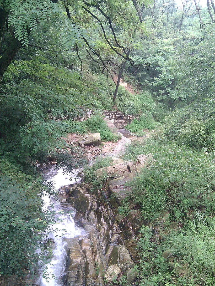 도란도란 걷는 길 경유지 · 관악정 주변 숲속 시내 실제 사진