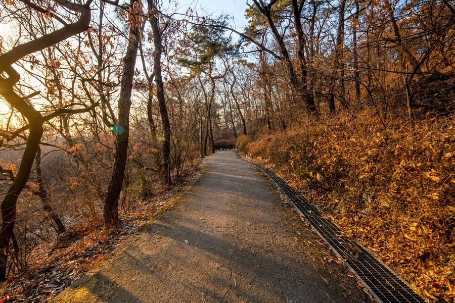 궁산근린공원 실제 사진