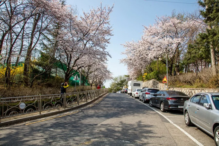 개운산 실제 사진