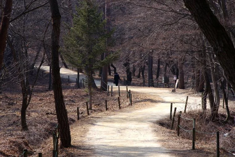 왕터쌀길 출발점 주변 · 여주 세종대왕릉 숲길 참고사진 실제 사진