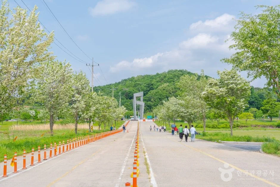 너른들길 출발 구간 · 당남리섬 보행로 실제 사진