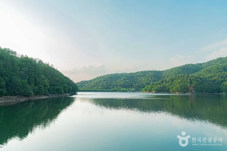 청계호수 수면과 주변 숲 전경 실제 사진