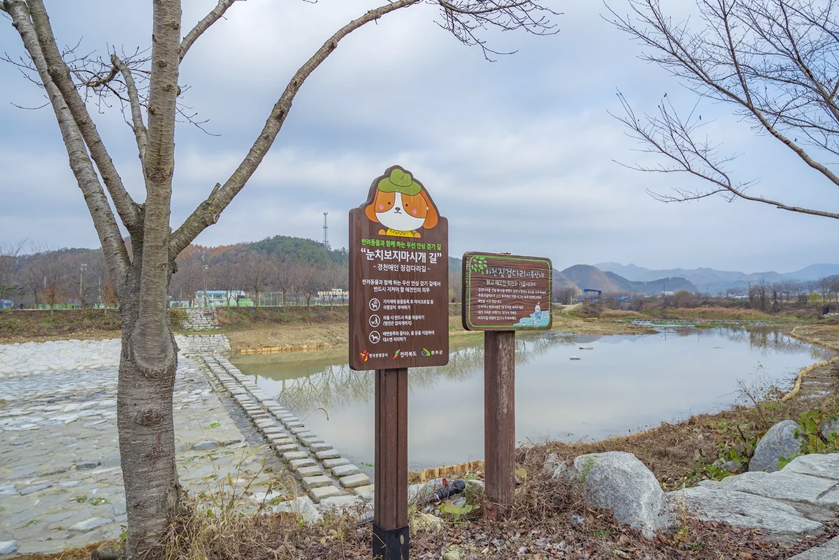 완주 오복마을 구룡천 징검다리 (경천애인징검다리길 경유지) 실제 사진