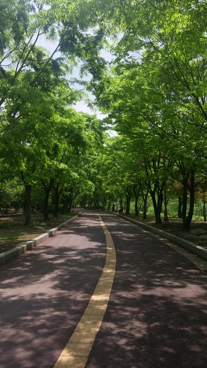 성남 중앙공원 실제 사진