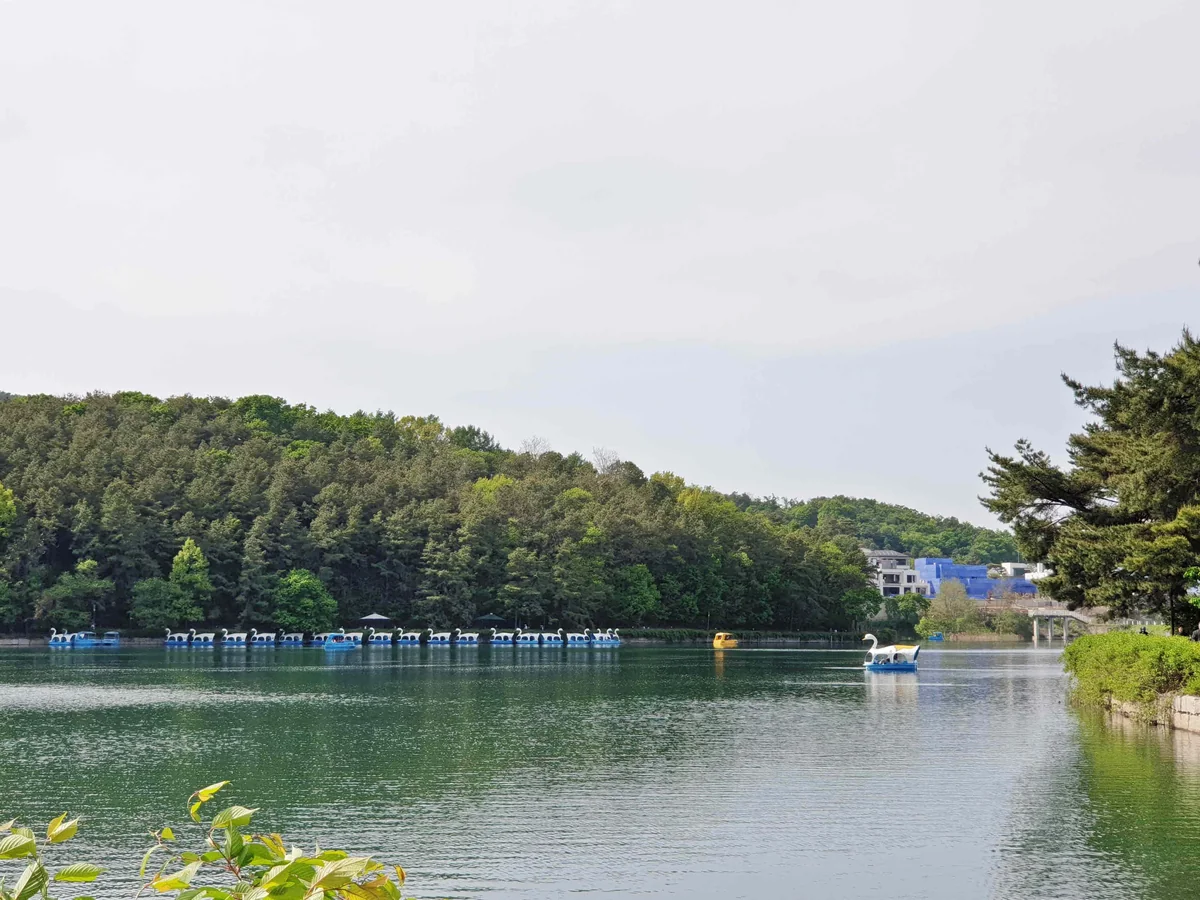 고모호수공원 수변 산책로와 호수 (여름 참고사진) 실제 사진