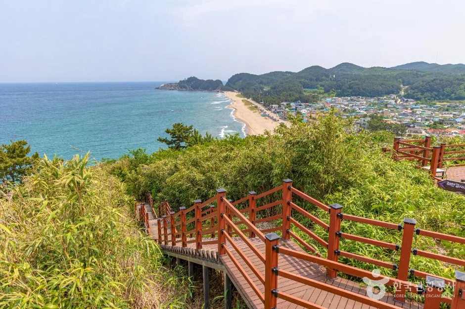 덕봉산 해안생태탐방로 전망·보행 데크 실제 사진