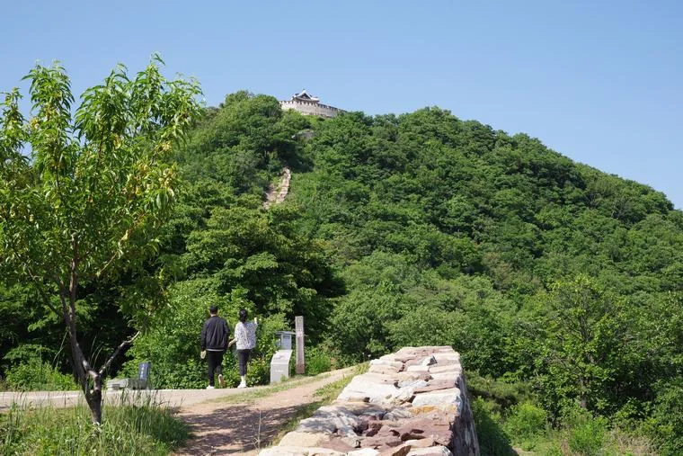 문수산성 성벽과 산길 (문수산 등산로 주변) 실제 사진