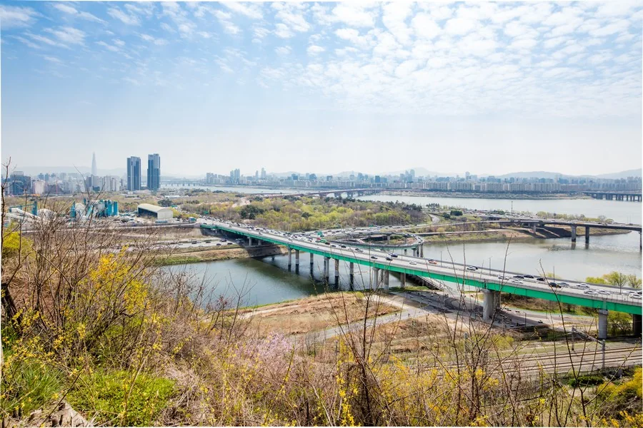 응봉산 전망 실제 사진