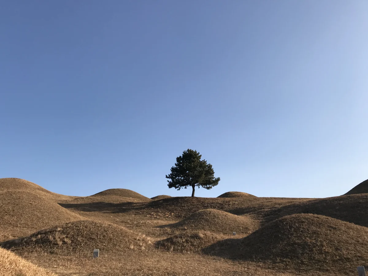 불로동 고분군 산책길 실제 사진