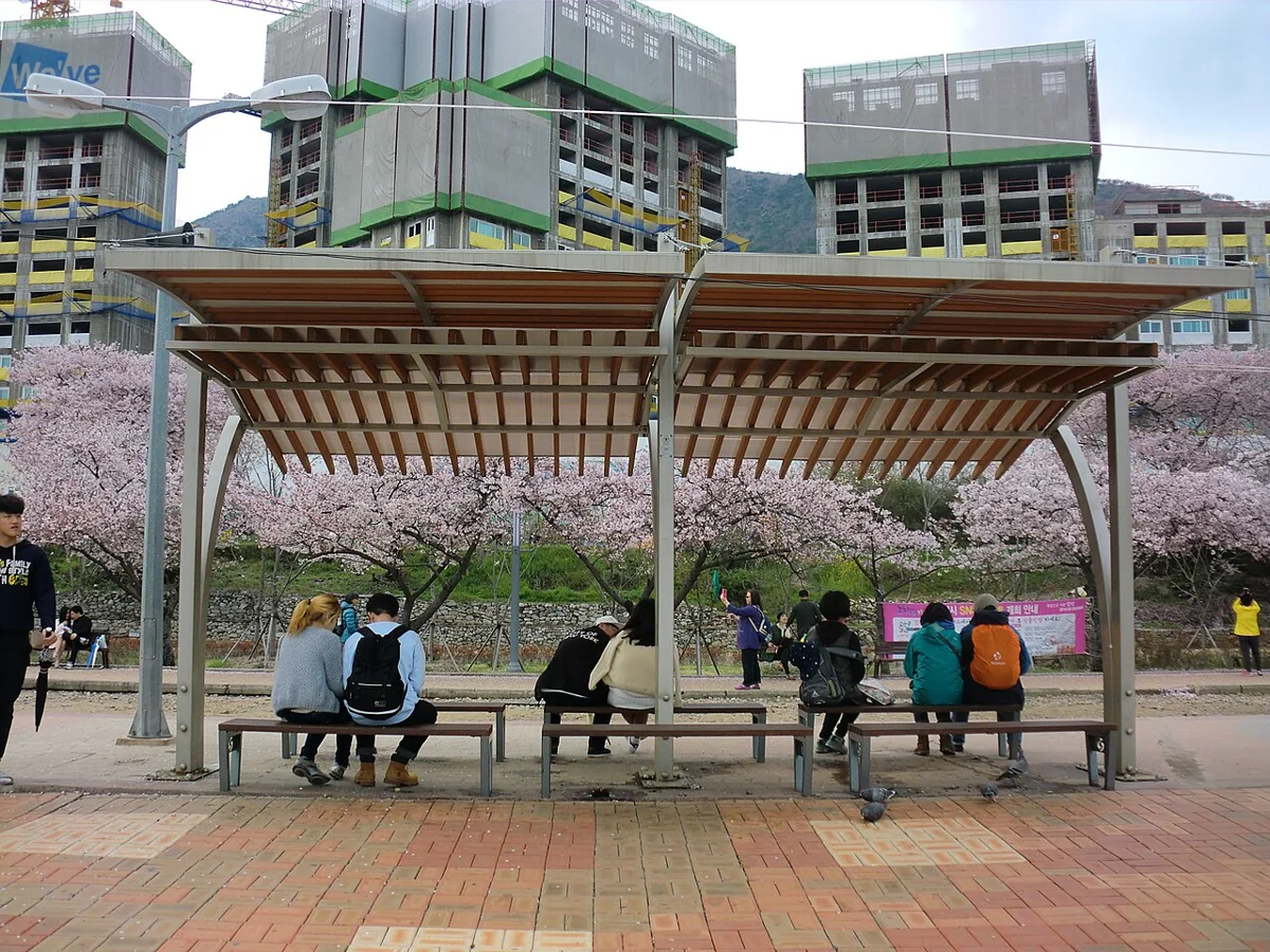 경화역 주변 쉼 공간과 벚꽃 참고사진 실제 사진