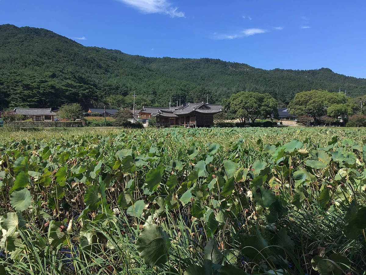 서출지 연못 주변 경관 참고사진 실제 사진