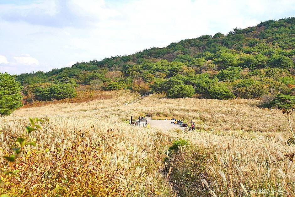 재약산 경관·시설 참고사진 · 확인된 산책 동선 아님 실제 사진