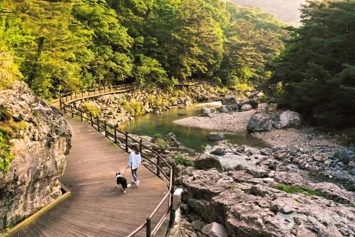 운일암 반일암 계곡 야외 경관 참고사진 실제 사진