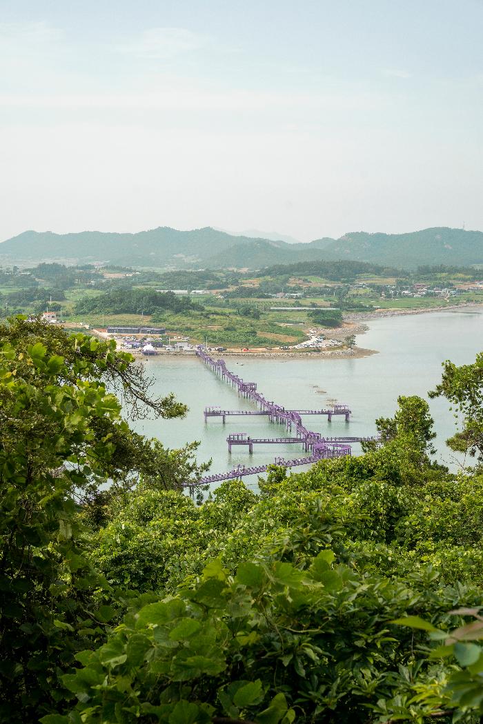 퍼플교 야외 경관 참고사진 실제 사진