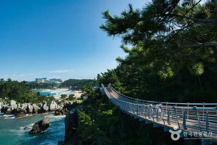 추암 출렁다리 야외 경관 참고사진 실제 사진 ()
