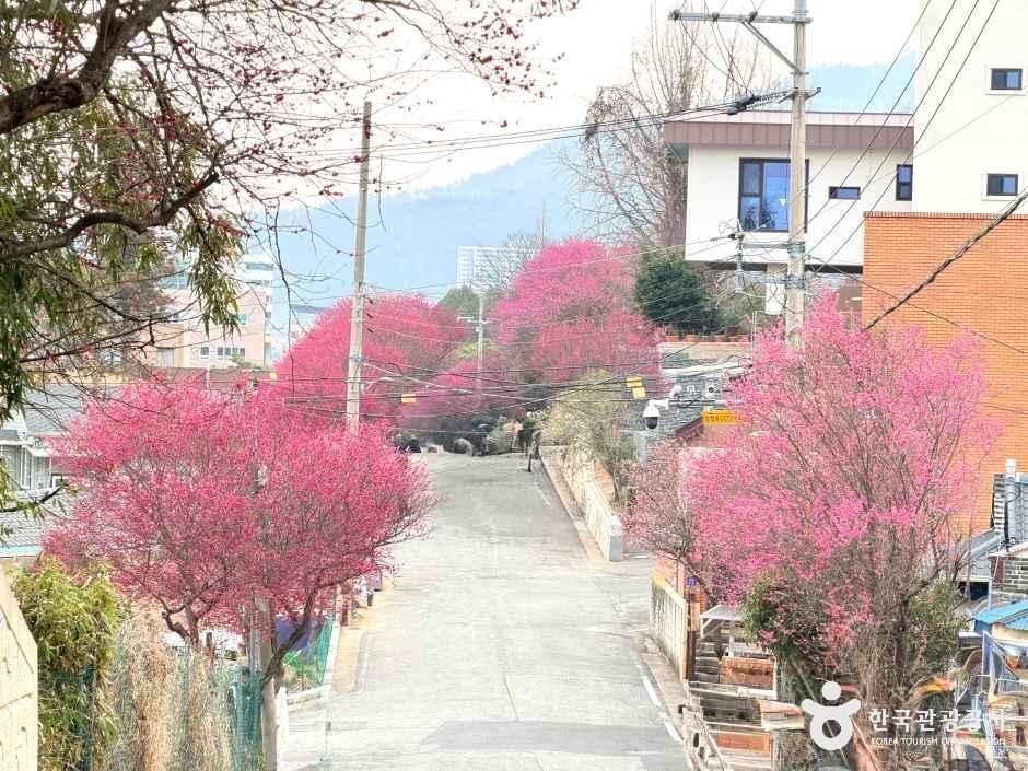 탐매마을 경관·시설 참고사진 · 확인된 산책 동선 아님 실제 사진