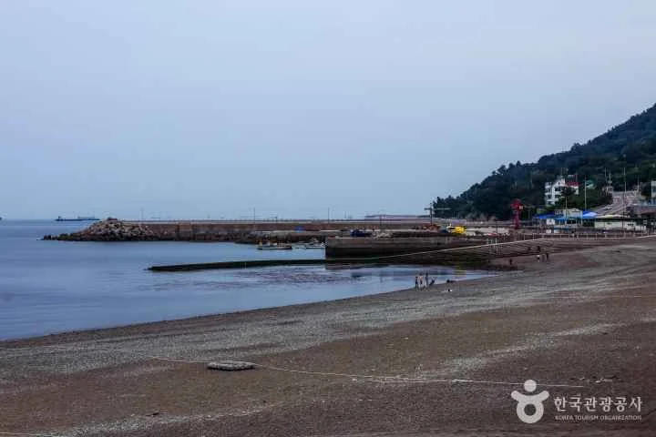 만성리 검은모래해변 야외 경관 참고사진 실제 사진