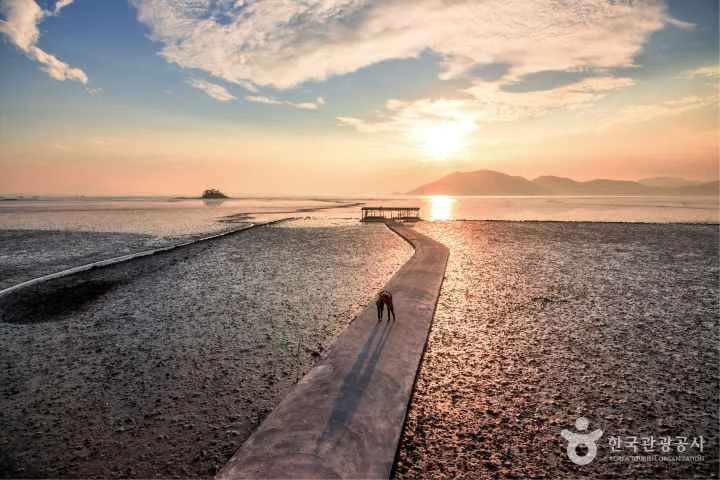 와온해변 야외 경관 참고사진 실제 사진