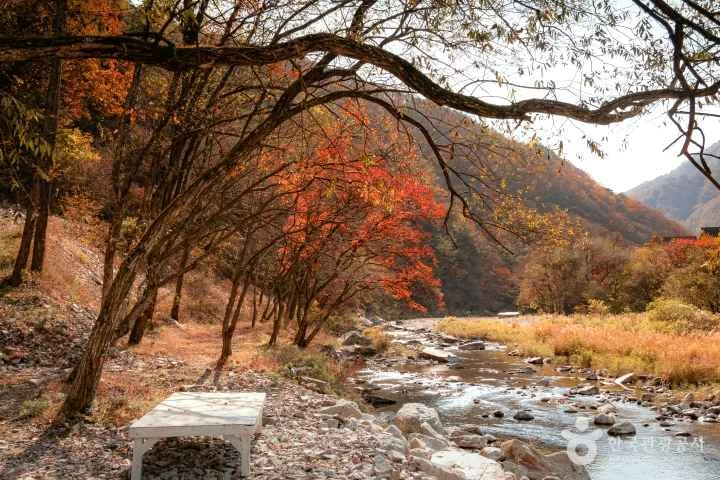 김삿갓 계곡 야외 경관 참고사진 실제 사진