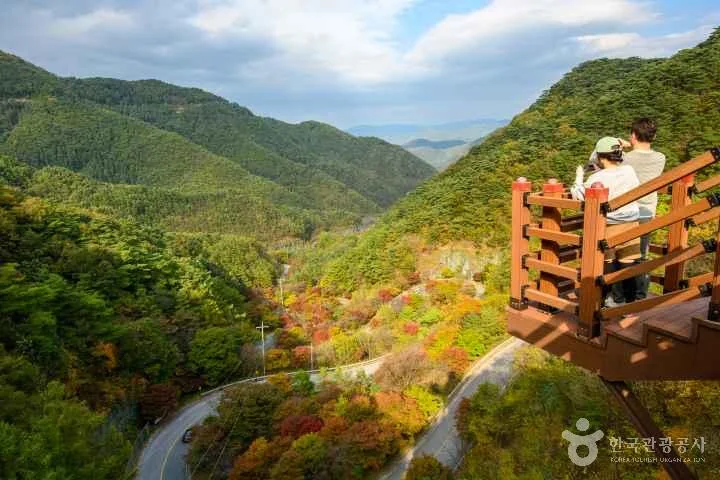 단양 보발재 야외 경관 참고사진 실제 사진 ()