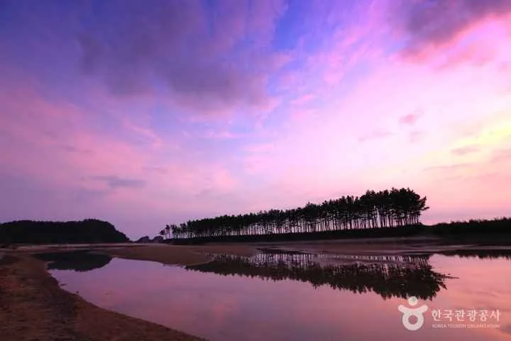운여해변 야외 경관 참고사진 실제 사진