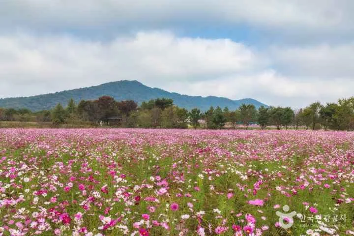 파주 율곡습지공원 야외 경관 참고사진 실제 사진