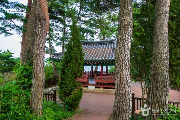 죽도정·죽도 전망대 야외 경관 참고사진 실제 사진