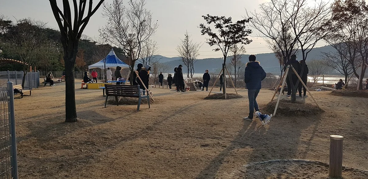 기흥레스피아 반려동물놀이터 소형견 구역 경관 실제 사진